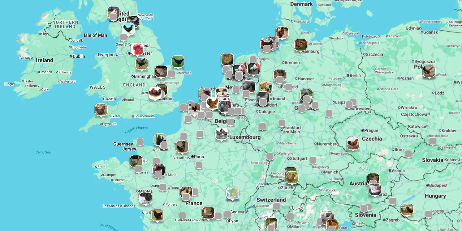 RoostScan Map Demo showing chicken breed origins